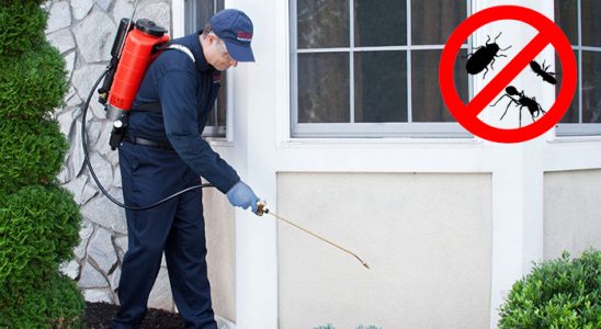 Arapgir Karınca İlaçlama böcek ilaçlama ve haşere kontrolü — ilaclama-tr.com